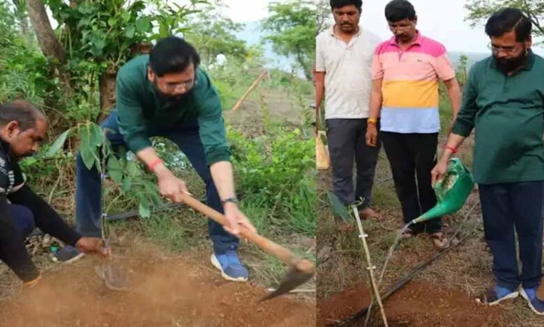 फिर-से-किसाने-बने-डिप्टी-सीएम-एकनाथ-शिंदे,-लगाए-एवोकाडो-के-कई-पौधे