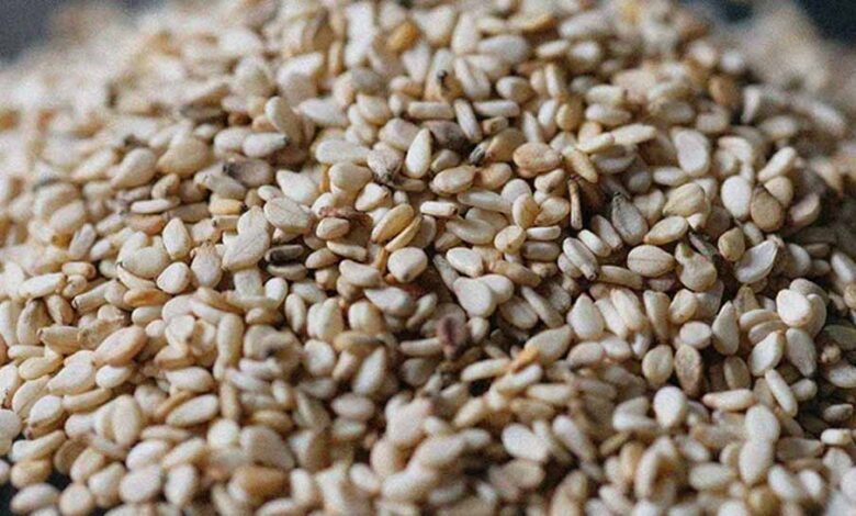 हड्डियों को मजबूत बनाए रखने के लिए डाइट में शामिल करें सफेद तिल