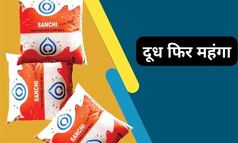 सांची ने दूध के दाम बढ़ाए, आज से इतने रुपए लीटर मिलेगा दूध, दही, मक्खन, घी भी महंगा