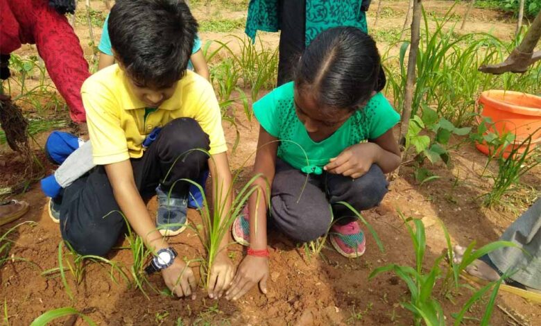 प्रदेश में 15 हजार ईको क्लब गठित, प्रति विद्यालय पर्यावरण की दृष्टि से 35 पौधों का रोपण