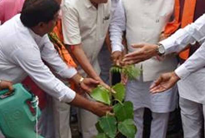 वनों-को-समाप्त-करने-का-दुष्परिणाम-है,-जलवायु-परिवर्तन-:-राज्यपाल-पटेल
