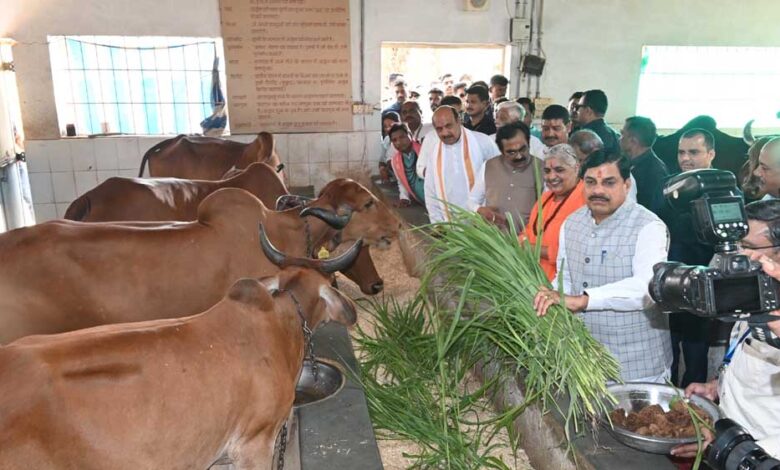 कैंसर-से-पीड़ित-मरीजों-की-नि:स्‍वार्थ-भाव-से-की-जा-रही-सेवा-अनुकरणीय-:-मुख्यमंत्री-डॉ.-यादव
