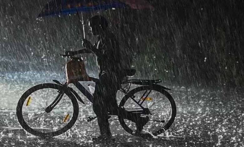 mp-में-पिछले-24-घंटे-के-दौरान-कई-जिलों-में-बारिश-का-दौर-चला,-40-जिलों-में-आज-भी-अलर्ट