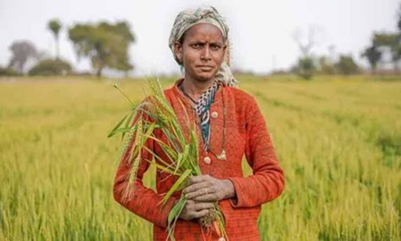 पीएम-मोदी-की-अध्यक्षता-में-मंत्रिमंडल-ने-वित्त-वर्ष-2025-26-के-लिए-किसानों-के-ऋणों-पर-ब्याज-सब्सिडी-को-मंजूरी-दी