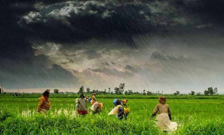 छत्तीसगढ़-में-असमय-मानसून-की-एंट्री-से-‘खेती-पर-खतरा’