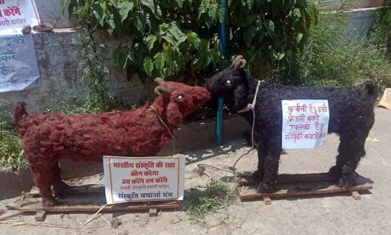 प्रदेश-में-हिंदू-संगठन-ने-तैयार-करवाए-खास-तरह-के-बकरे,-मुस्लिमों-से-की-ईको-फ्रेंडली-बकरा-ईद-मनाने-अपील