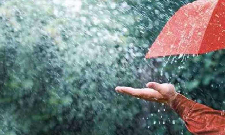 दक्षिण-भारत-में-मानसून-की-जोरदार-दस्तक,-आज-से-17,-18,-19,-20-जून-तक-भारी-वर्षा-की-चेतावनी