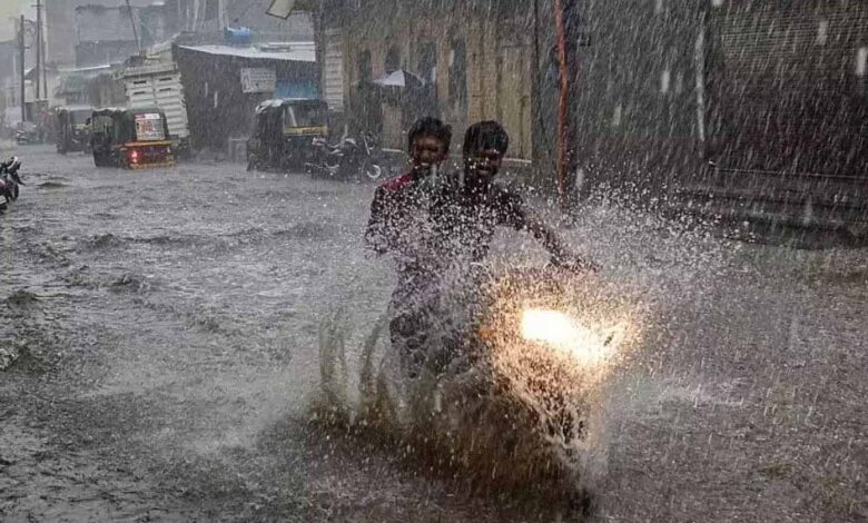 मध्यप्रदेश-में-मानसून-अगले-24-से-48-घंटे-में-एंट्री-कर-सकता,-नरसिंहपुर-डिंडौरी-में-भारी-बारिश-का-अलर्ट