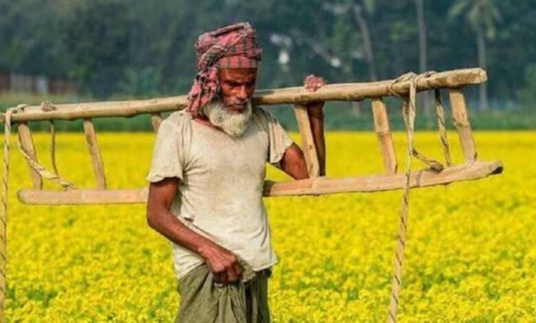 पीएम किसान सम्मान योजना की 20वीं किस्त के आज खाते में नहीं आएंगे 2000 रुपये, करोड़ों किसानों का इंतजार बढ़ा