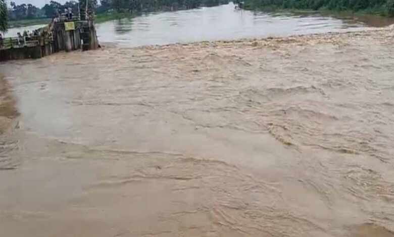 झारखंड-में-तेज-बारिश-के-बाद-नालंदा-जिले-की-लोकायन-नदी-का-अचानक-बढ़ा-जलस्तर,-बाढ़-जैसे-हालात