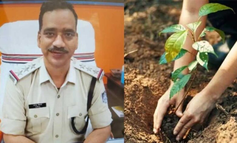 न्यायमूर्ति-की-युगलपीठ-ने-टीआई-रविंद्र-द्विवेदी-को-अनूठी-सजा-सुनाई-,-एक-साल-में-1000-फलदार-पौधे-रोपने-का-निर्देश-दिया