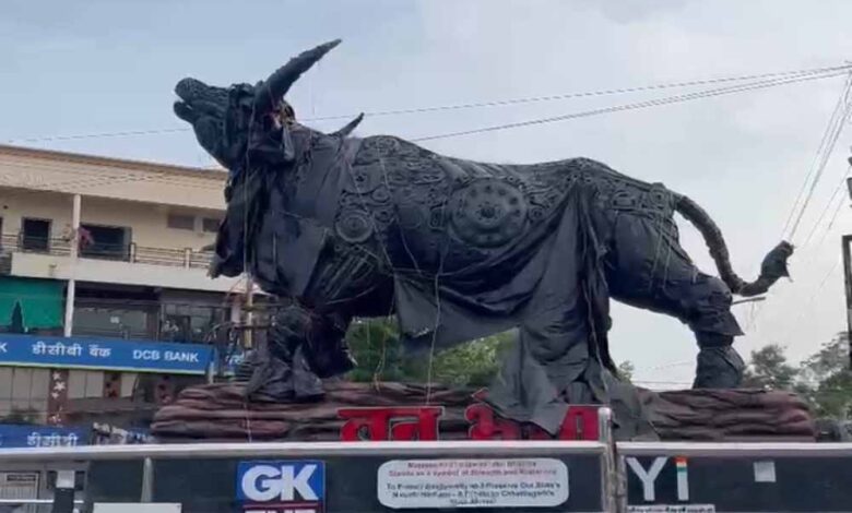प्रदेश-के-राजकीय-पशु-वन-भैंसा-की-प्रतिमा-स्थापित,-चार-महीने-से-अनावरण-का-इंतज़ार,-सिस्टम-का-उदासीन-रवैय्या:-मंत्री-अकबर