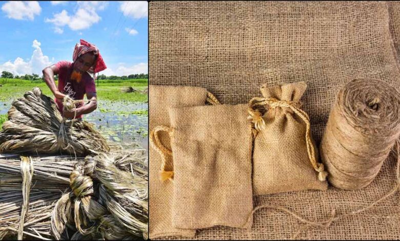 भारतीय किसानों को राहत: बांग्लादेश से जूट आयात पर लगी रोक