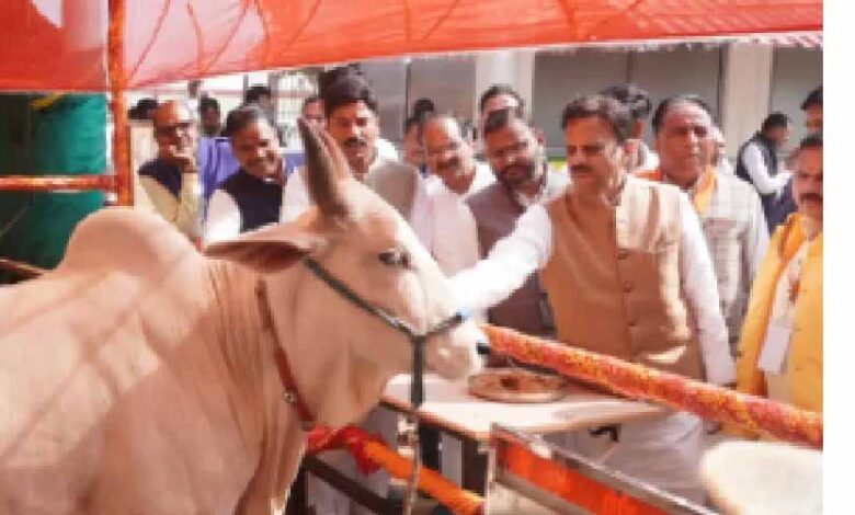 एक-भी-गौमाता-बेसहारा-न-रहे-:-उप-मुख्यमंत्री-शुक्ल