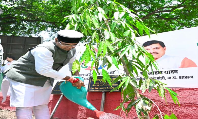 सहकारिता-विभाग-पूरी-प्लानिंग-के-साथ-सोसायटी-और-परिसरों-में-लगाये-पौधे