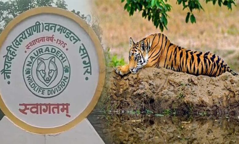 दमोह-वनमंडल-का-बड़ा-हिस्सा-वीरांगना-दुर्गावती-टाइगर-रिजर्व-में-शामिल-हुआ