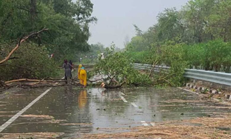 मध्यप्रदेश-में-लगातार-42वें-दिन-भी-आंधी-बारिश-का-अलर्ट,-भोपाल-इंदौर-समेत-45-जिलों-में-आंधी-बारिश