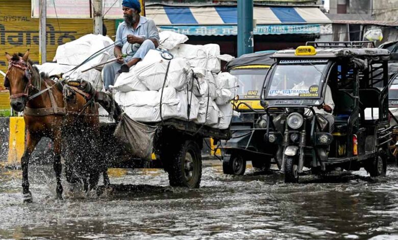 heavy-rain-alert:-अगले-7-दिन-झमाझम-बारिश-तय!-बिहार-से-दिल्ली-तक-अलर्ट-जारी