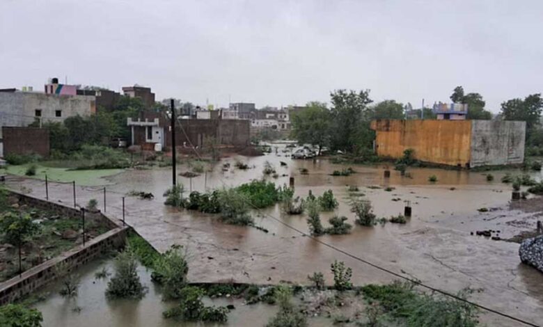 टीकमगढ़, डिंडौरी और गुना में भारी बारिश से कई इलाकों में जलभराव , नदी-नाले उफान पर