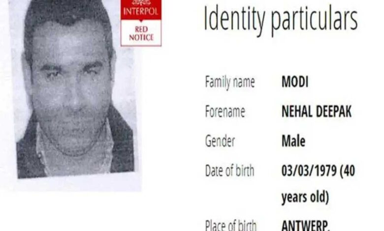 भगोड़े-नीरव-मोदी-का-भाई-नेहल-मोदी-usa-में-गिरफ्तार,-भारत-को-मिली-बड़ी-सफलता