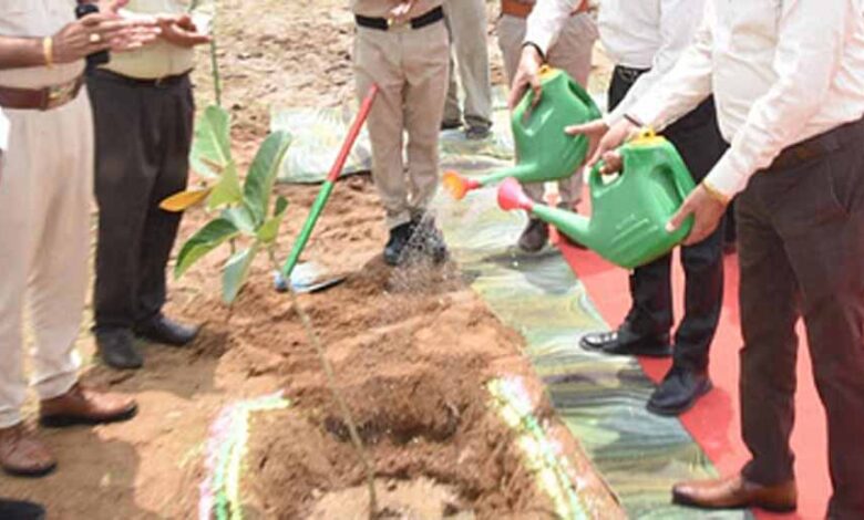 फरीदाबाद-:-वर्ष-2025-में-एक-लाख-से-अधिक-पौधे-लगाएगा-वन-विभाग