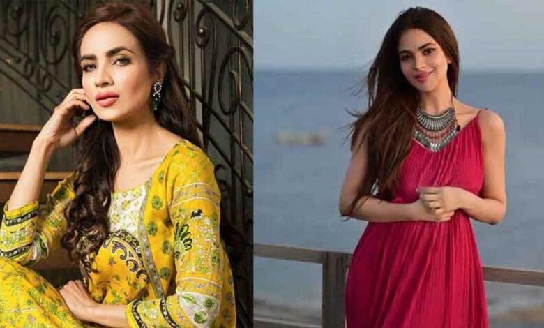 सड़ी-गली हालत में म‍िली PAK एक्ट्रेस की लाश, घर में 2 हफ्तों तक सड़ता रहा शव