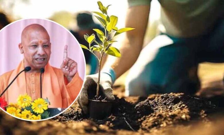 एक-पेड़-मां-के-नाम:-पौधरोपण-कर-इनके-संरक्षण-के-लिए-करें-काम-मुख्यमंत्री-योगी