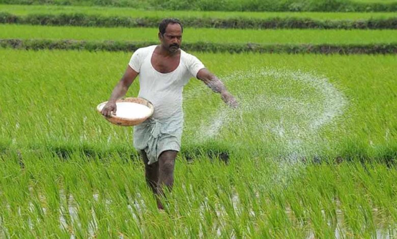 किसान-अब-मात्र-2-प्रतिशत-प्रीमियम-दर-पर-करा-सकेंगे-फसलों-का-बीमा,-आखिरी-तारीख-का-हुआ-ऐलान