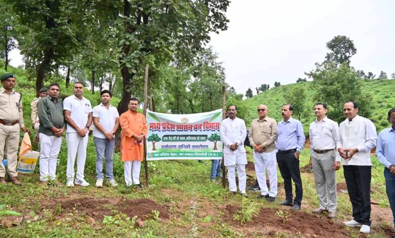 वन-परिक्षेत्र-बैढ़न-में-सांसद-विधायक-ने-एक-पेड़-मॉ-के-नाम-अभियान-के-तहत-किया-पौधा-रोपण