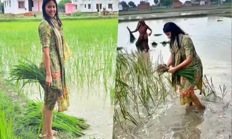 सांसद-से-किसान-बनीं-प्रिया-सरोज,-सहेलियों-संग-खेत-में-की-धान-रोपाई