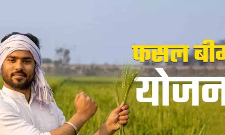 31-जुलाई-आखिरी-मौका:-खरीफ-फसलों-का-बीमा-नहीं-कराया-तो-होगा-भारी-नुकसान