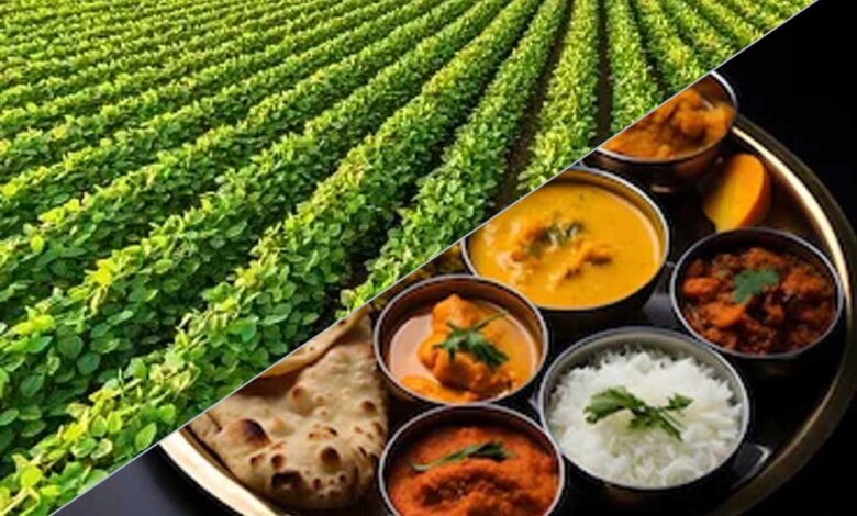 18-देशों-की-रिसर्च-में-बड़ा-खुलासा:-आलू-प्याज-और-रोटी-पर-मंडरा-रहा-है-गंभीर-खतरा