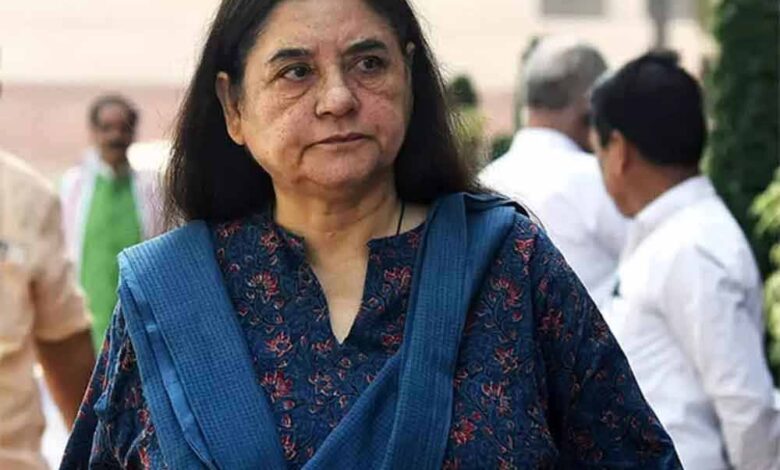 आवारा-कुत्तों-पर-sc-के-आदेश-से-नाराज-मेनका-गांधी,-बोलीं-गुस्से-में-लिया-गया-फैसला