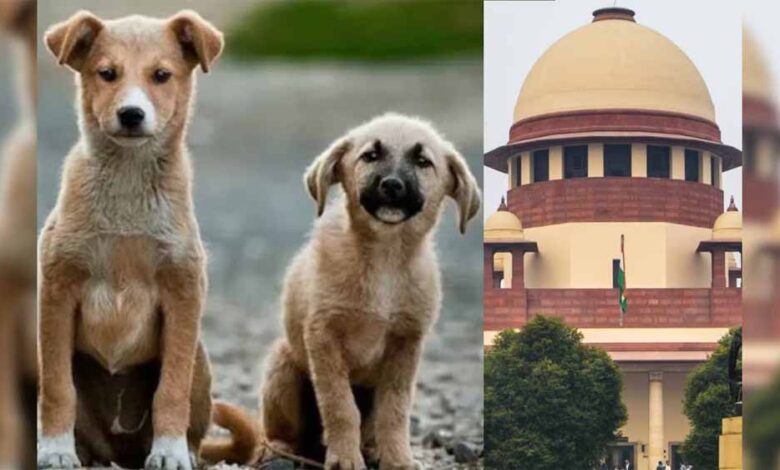 दिल्ली-ncr-में-कुत्तों-से-जुड़ा-मामला-अब-cji-की-निगरानी-में