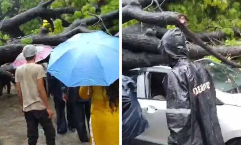 मूसलाधार-बारिश-से-दिल्ली-बेहाल:-कालकाजी-में-पेड़-गिरने-से-मौत,-सड़कों-पर-जलभराव-व-जाम
