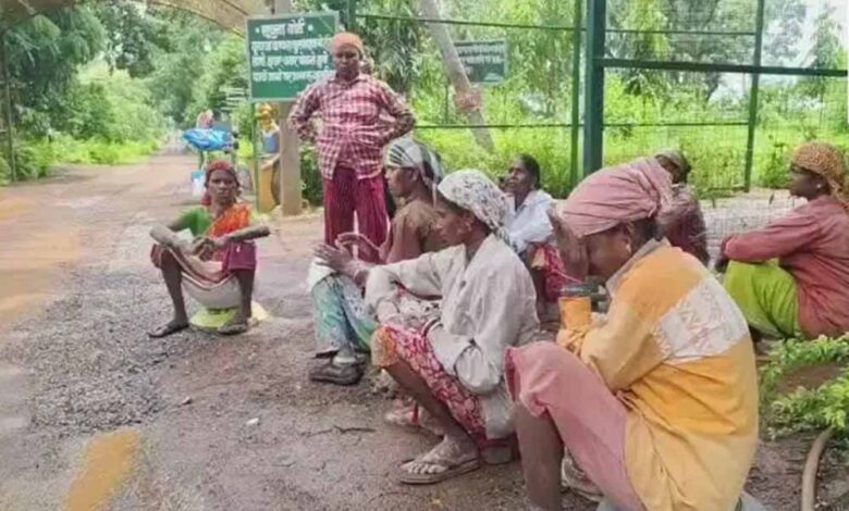 पर्यावरण-पार्क-के-मजदूरों-की-पेंडिंग-मजदूरी-पर-मंत्री-केदार-कश्यप-सख्त,-अधिकारियों-को-लगाई-फटकार
