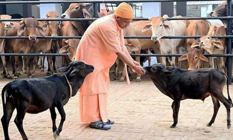 सीएम-योगी-के-नेतृत्व-में-गो-सेवा-से-तरक्की-करेगा-यूपी
