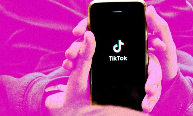 भारत-में-tiktok-की-वापसी?-वेबसाइट-हुई-एक्टिव,-फैंस-में-उत्साह