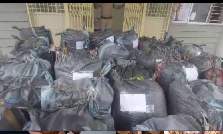 नीमच-और-मंदसौर-बन-रहे-डोडा-चूरा-तस्करी-के-नए-केंद्र,-पंजाब-हरियाणा-तक-फैला-कॉरिडोर