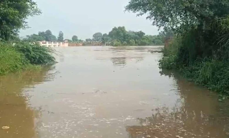 पार्वती-नदी-उफान:-श्योपुर-बारां-हाईवे-24-घंटे-बंद,-sdrf-ने-15-ग्रामीणों-और-गर्भवती-महिला-को-बचाया