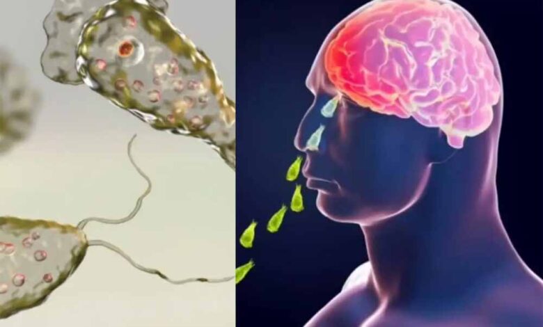केरल-में-दिमाग-खाने-वाला-अमीबा:-19-मौतों-के-बाद-जानें-कारण,-लक्षण-और-बचाव