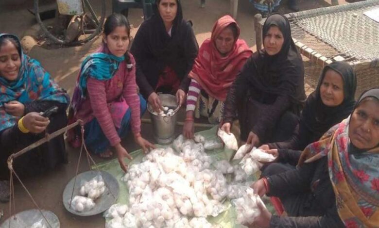 शाहजहांपुर की नेहा कश्यप ने मशरूम खेती से रचा स्वावलंबन का कीर्तिमान