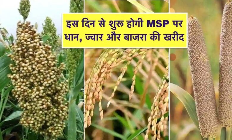 समर्थन-मूल्य-पर-धान,-ज्वार-एवं-बाजरा-उपार्जन-हेतु-पंजीयन-10-अक्टूबर-तक