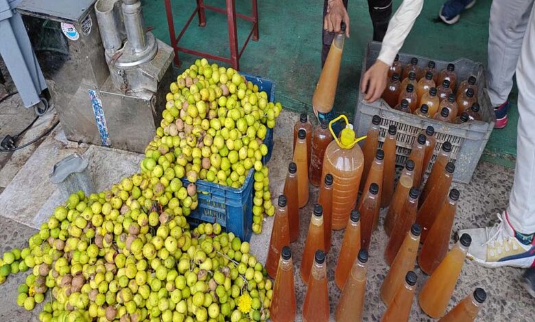 भोपाल-में-अनोखी-पहल:-पूजा-में-चढ़े-नींबुओं-से-बनेगा-बायो-स्प्रे,-साफ-होंगे-तालाब-और-कुंड