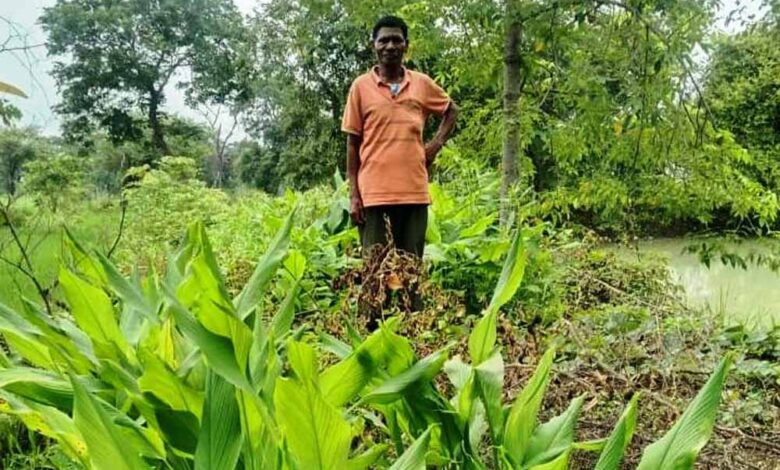 डबरी-ने-खोले-समृद्धि-के-द्वार,-दुलार-सिंह-का-सपना-हुआ-साकार