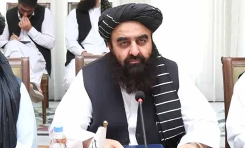 तालिबान-का-दावा:-nato-और-अमेरिका-के-दौर-में-पला-isis,-हमने-आते-ही-किया-ख़त्म