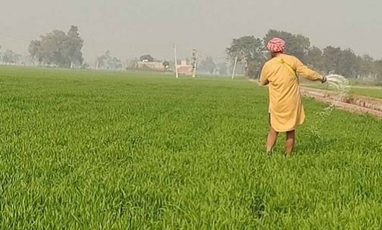 धनतेरस-पर-किसानों-को-बड़ा-तोहफा!-सरकार-करेगी-मुआवजे-की-धनवर्षा