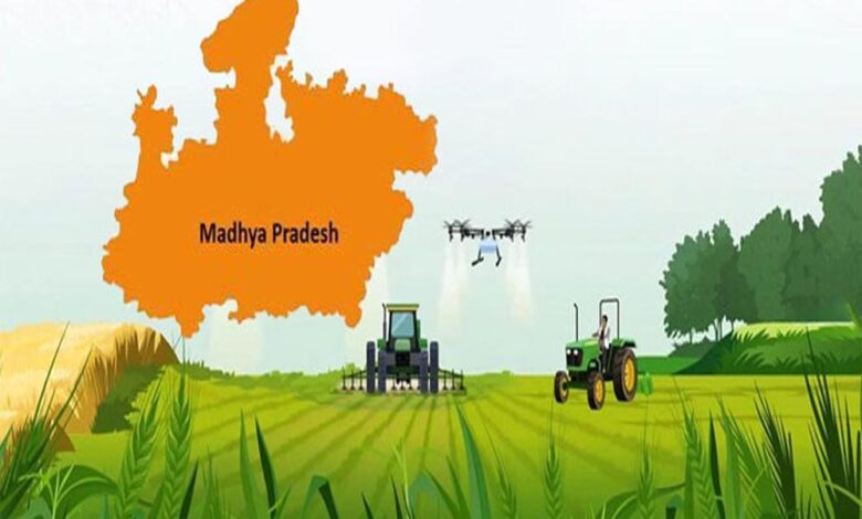 कृषि-के-क्षेत्र-में-मध्यप्रदेश-स्थापित-कर-रहा-है-नये-कीर्तिमान