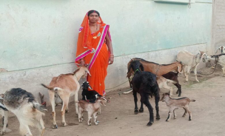 रायपुर-:-महतारी-वंदन-योजना-से-बदली-ज़िंदगी-श्यामा-बनी-आत्मनिर्भरता-की-पहचान