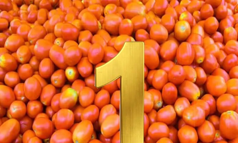 टमाटर-उत्पादन-में-देश-में-नंबर-1-है-मध्यप्रदेश